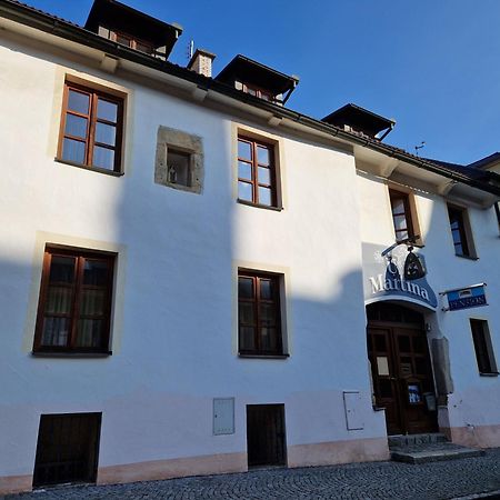 Pension U Martina Domažlice Zewnętrze zdjęcie